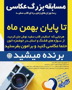 قلب سفید 4