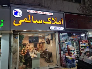 املاک سالمی