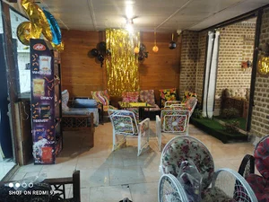 کافه آلفا