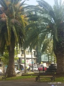 بوستان رفتگر 3