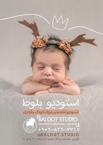 Baloot Studio استودیو بلوط