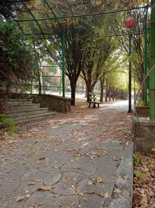 دانشکده کشاورزی