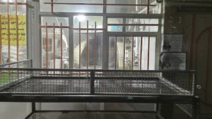 نانوایی علی شمس