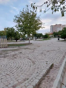 پارک سرداران 2