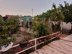 باغ ویلا شیبانی
