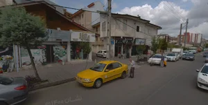دارو گیاهی : لیانا