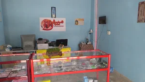 میهن آی‌تی