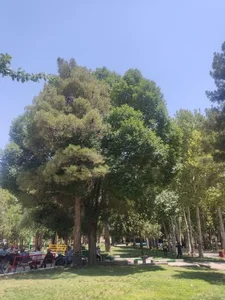 پارک وحدت 4