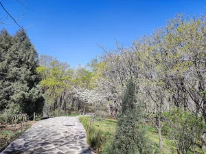 رویشگاه زاگرس