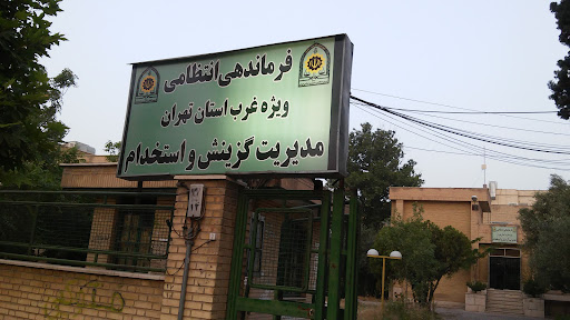 هسته گزینش