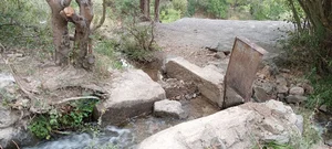 سیاه‌ پله