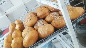 احسان پیراشکی