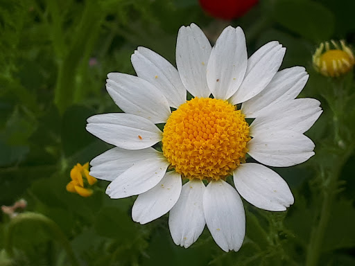 نوراباد فارس