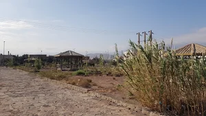 میدان نماز