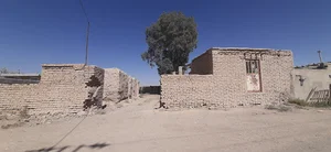 سوپرمارکت امیرعلی