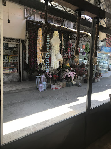 کویه استور