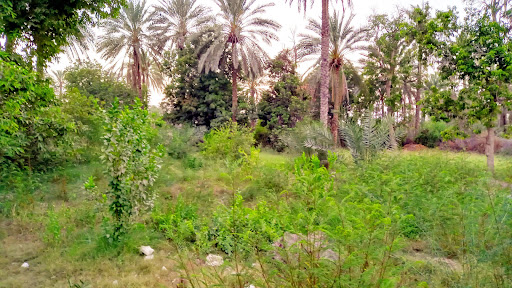 خانه بهداشت شهوار قدیم