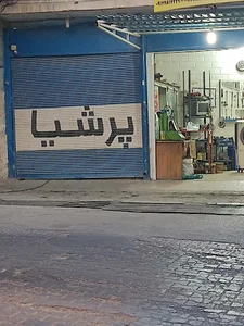 تنظیم موتور تخصصی پرشیا
