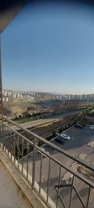 املاک احمدی