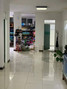 کلینیک حیوانات خانگی نیشام