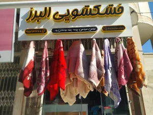 خشکشویی البرز