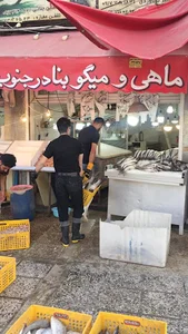 ماهی و میگوبنادرجنوب