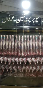 سوپر پروتئین عرفان