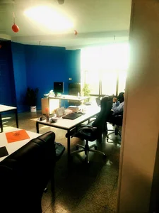 وِتوریا | پلتفرم جامع حیوانات خانگی