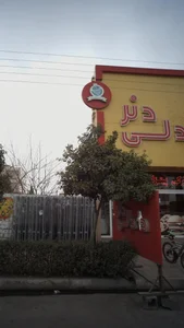 کباب ترکی دادلی دنر 2