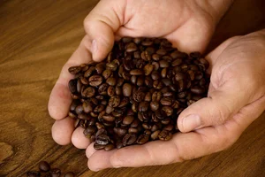 Libaro Coffee - قهوه لیبارو