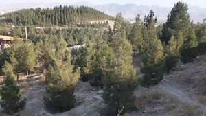 پارک بگرامی