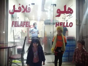 هلو فلافل 2