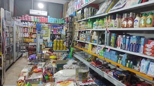 فروشگاه مواد غذایی دلفین
