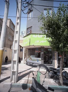 دکتر سید علیرضا حسینی 2