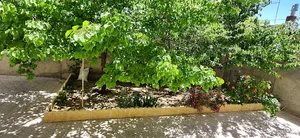 سوئیت منزل روما