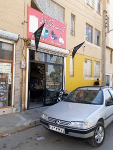 تاسیسات کلانی
