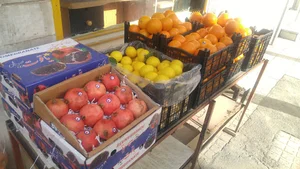 سوپر میوه چهارفصل