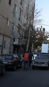 پیتزا مانی 4