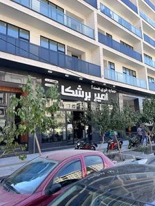 امیر برشکا