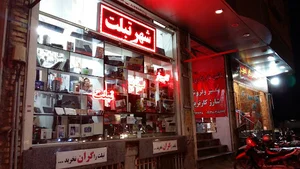 رایان گستر پاسارگاد