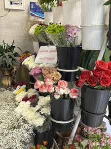 مزرعه گل