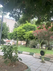 پارک درخت نذری