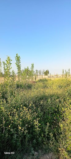 باغ بهشت عیسی عینی اردی