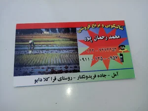 برنج فروشی گلستان - جلالی