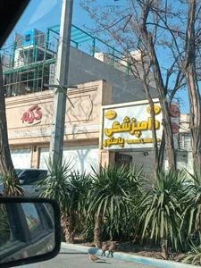 کلینیک حیوانات خانگی پاستور 2