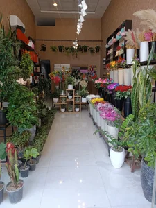 گل فروشی شکوفه 4