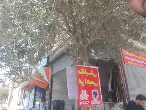 مکانیکی ابراهیمی 3