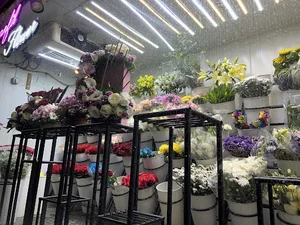 Karanfil flower