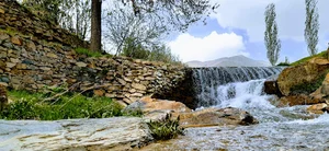 آب شاه پسند