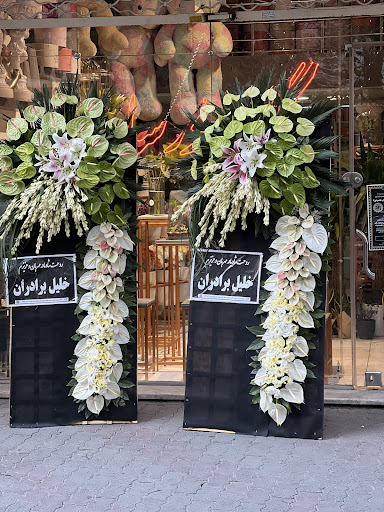گلکده درسا